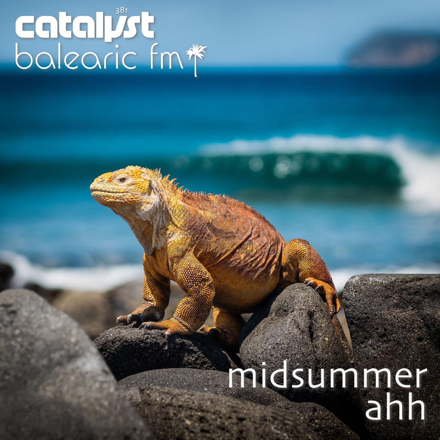 midsummer ahh (371) (catalyst)