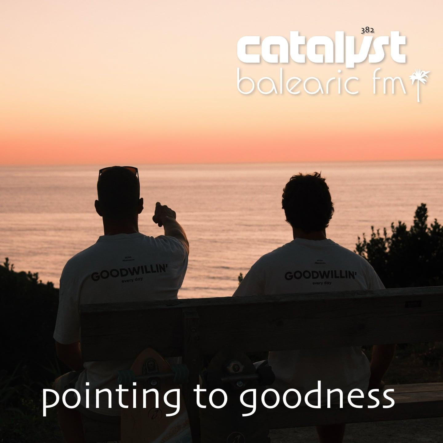 pointing to goodness (382) (catalyst)