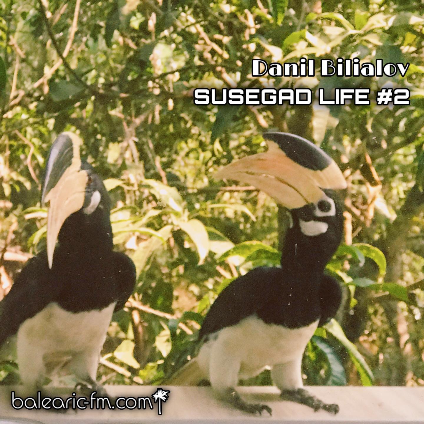 Susegad Life (002) (DANIL BILIALOV)